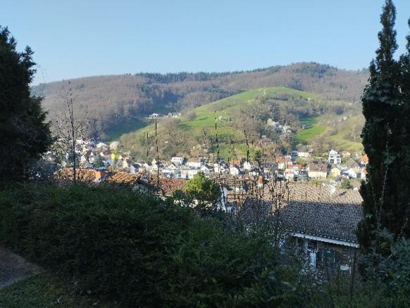 Das Tor Zum Odenwald Gorxheimertal ภายนอก รูปภาพ